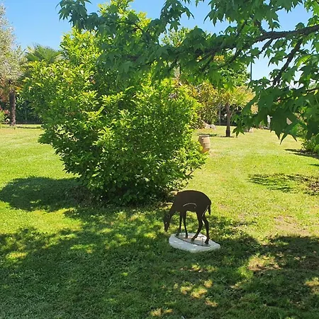 P'tit Bonheur Hébergement de vacances