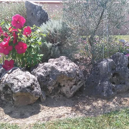 P'tit Bonheur Hébergement de vacances *