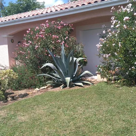 Hébergement de vacances P'tit Bonheur *